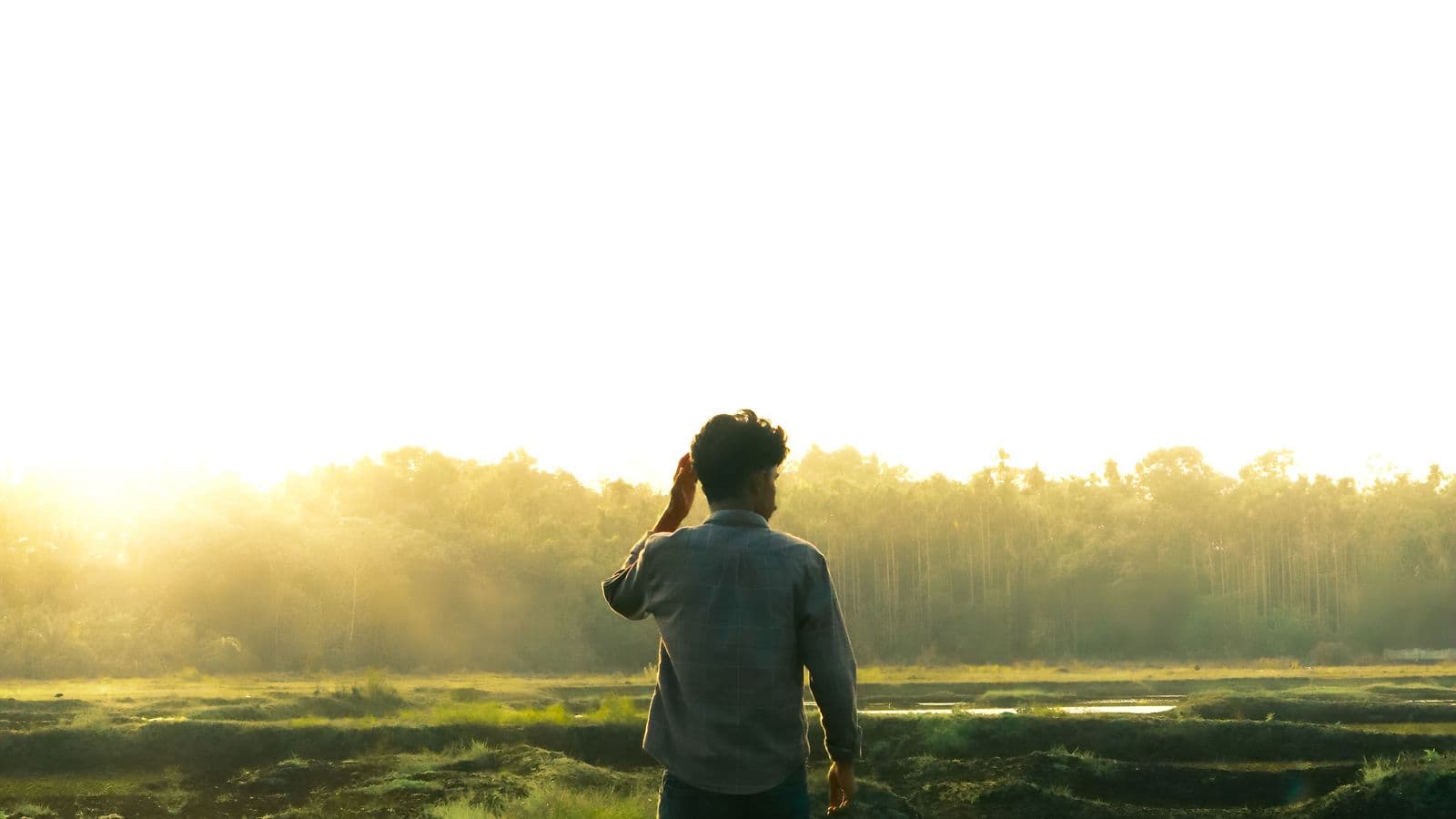 A person walking toward morning light — recovery and steadiness